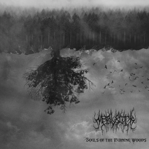 Metalblack : Souls of the Burning Woods
